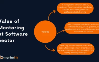 Value of Mentoring at Software sector