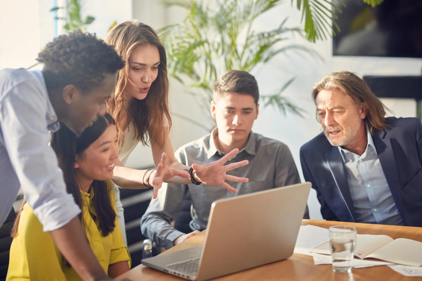 employee mentoring, employee mentorship, employee mentoring program, employee mentorship program, employee mentoring software